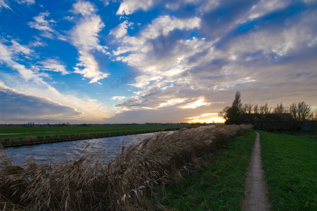 Avondzon in de polder