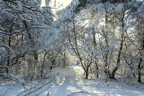 Poortje van sneeuw