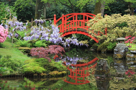 Het bruggetje van de Japanse tuin