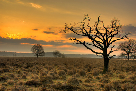 Zonsopkomst (HDR)