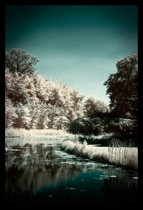 InfraRed Park