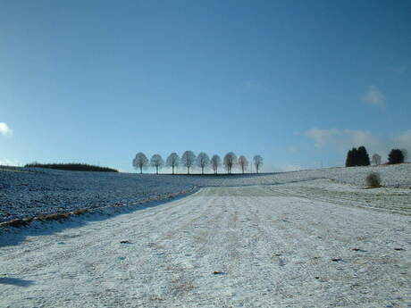 Sneeuwlandschap