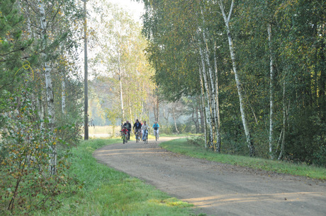 Fietsers in het Spreewald