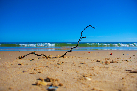 strand stilleven 1