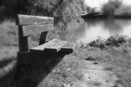 oud bankje in de biesbosch