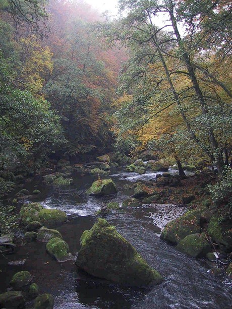 Herfstwandeling