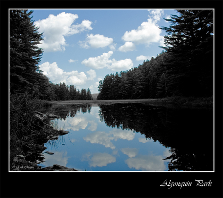 Algonquin Park IV