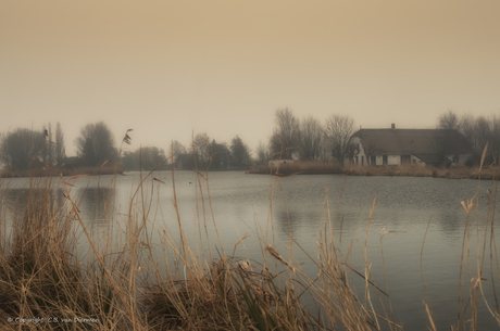 Een dag met mist .....