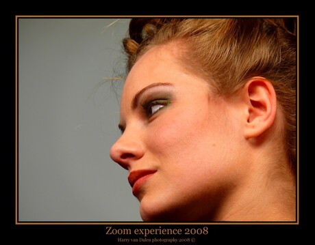 Zoom experience 2008