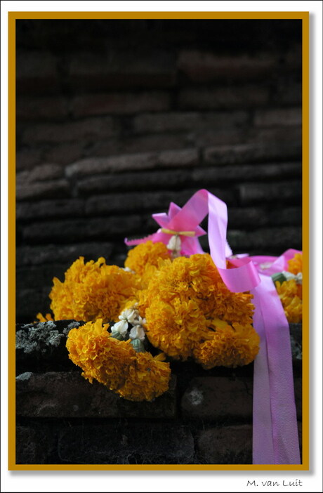 Flowers for Buddha