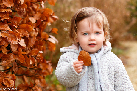 herfstportret in de lente