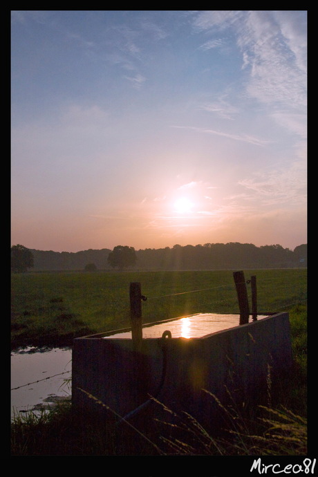 zons opkomst in weiland