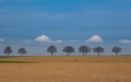 Limburgs Landschap