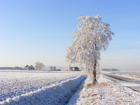 Winter in Tholen