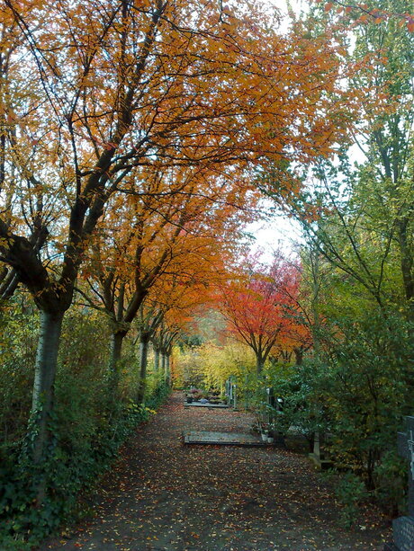 Herfst op de begraafplaats