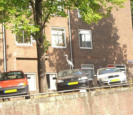 Reiger op een auto in Amsterdam