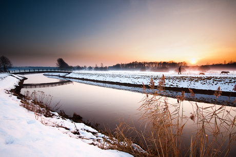 Winterlicht aan de Nete