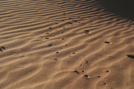 Desert tracks