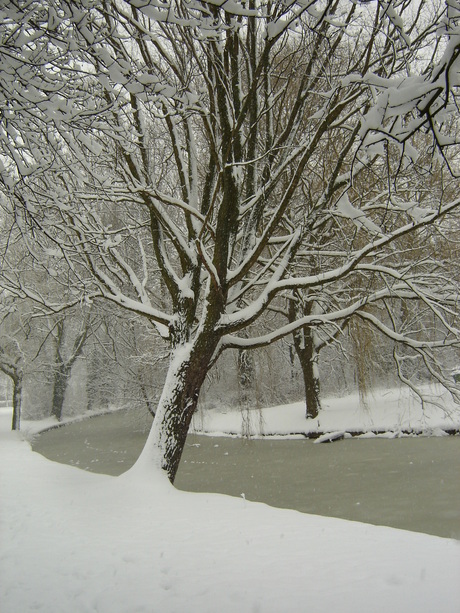 Winter in Heemskerk 2