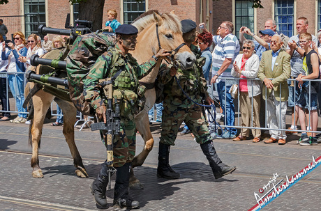 Veteranendag Den Haag