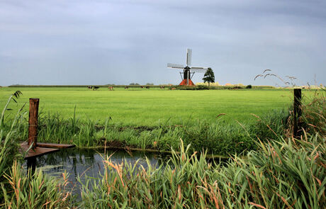 Fries landschap