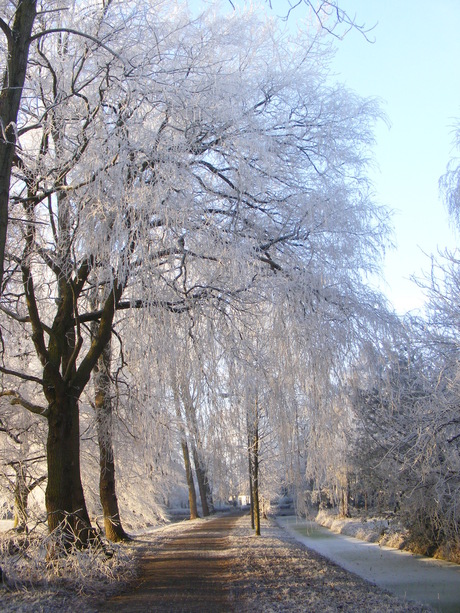 Winter in Leidschendam