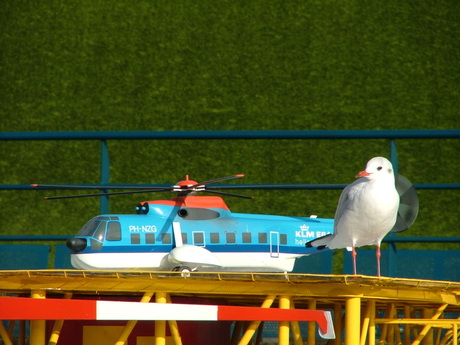 Madurodam - Mini helikopter of reuzenmeeuw?