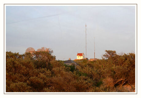 Duinen