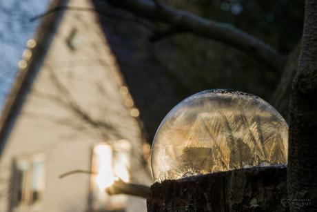 Bellenblazen met vorst en zonlicht...