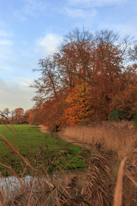 Riet en Rood