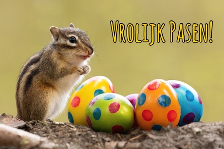 Vrolijk Pasen