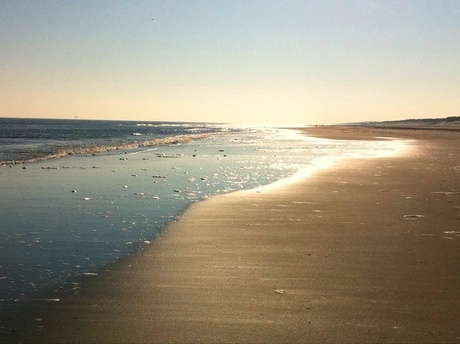 Langs het strand op Ameland