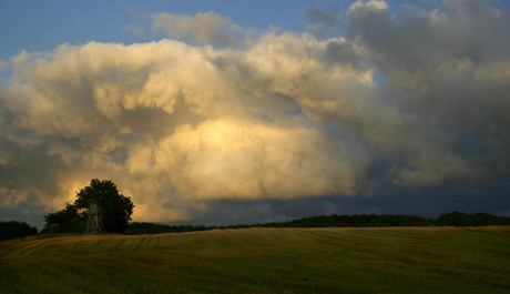 Jasmund (Rugen)