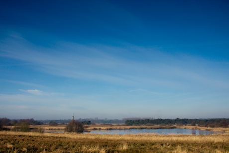 Plateaux - Hageven