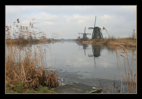 Kinderdijk (2)