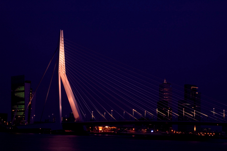 Rotterdam by night