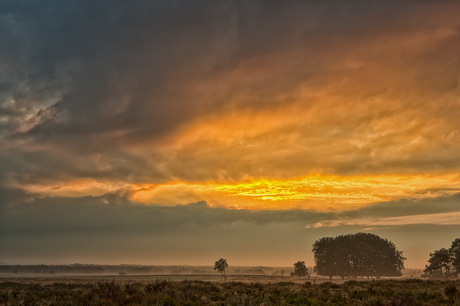 Zonsondergang Bosje van Staf II