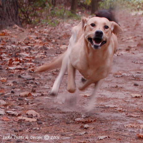 Kayne running fast