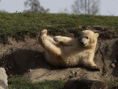 Effe chillen....!