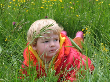 Turend naar de IJssel