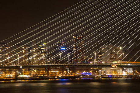 Rotterdam, noordoever en Erasmusbrug