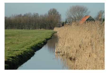 Natuurschoon