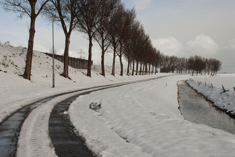 sporen in de sneeuw