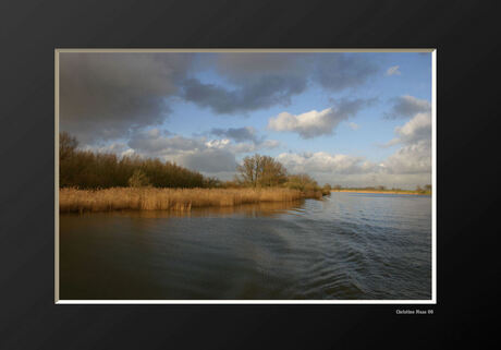 Biesbosch 3