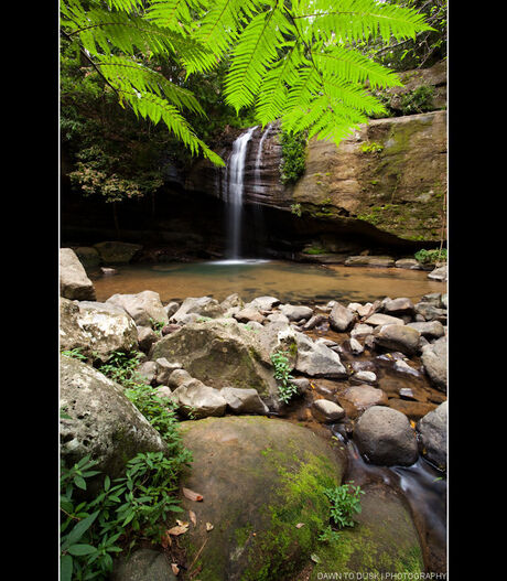 Buderim Falls