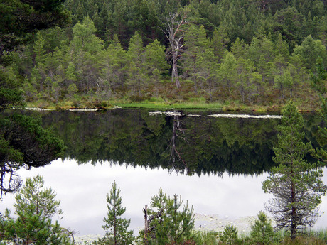 Coire Loch (Schotland)