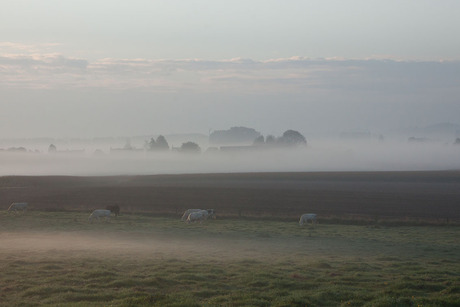 landschap in de mist