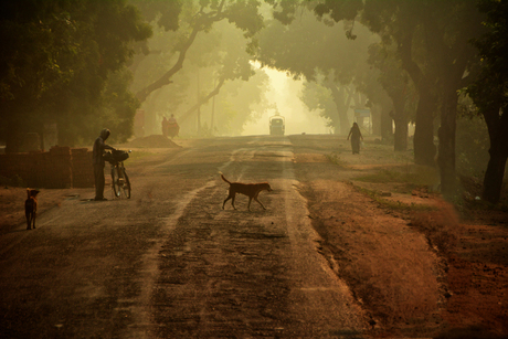 On the road in India