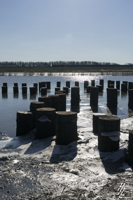 crezeepolder balken in het ijs