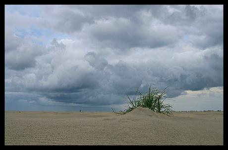 Beginnende duinen